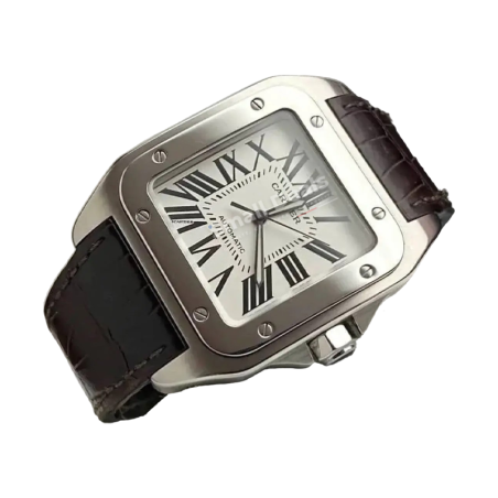Cartier Santos 100 Femme Automatique Acier 100 m | Small Deals