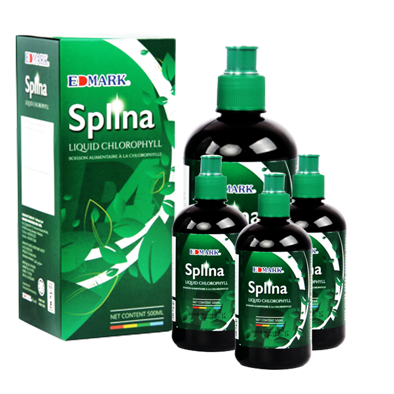 SPLINA SPLINA