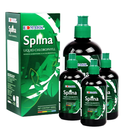 SPLINA