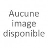 chinoise